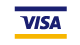 visa payment
